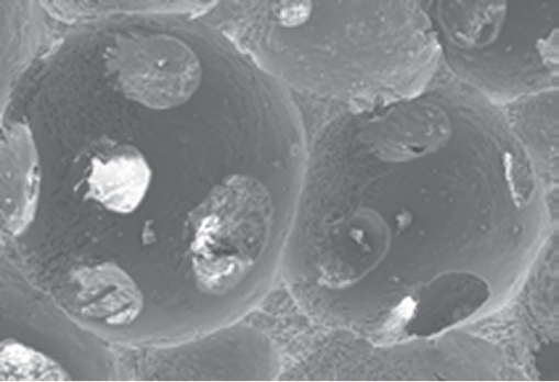 Macropore