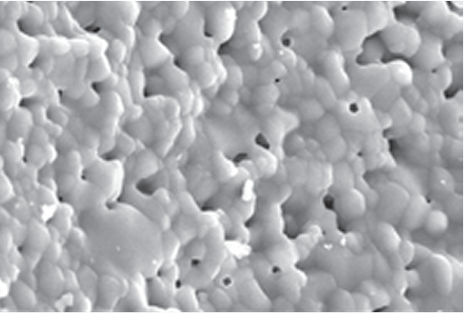 Micropore
