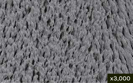 Micropore