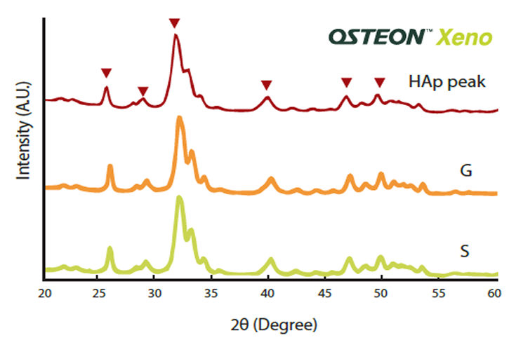 XRD Spectra