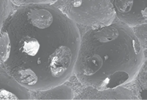 Macropore