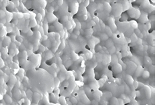 Micropore